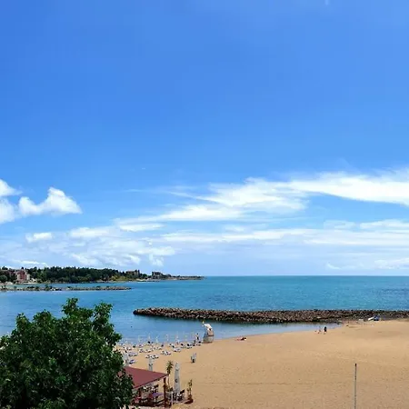 аурелия бей Rawda