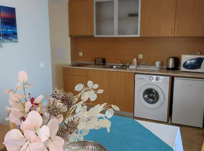 аурелия бей 라브다