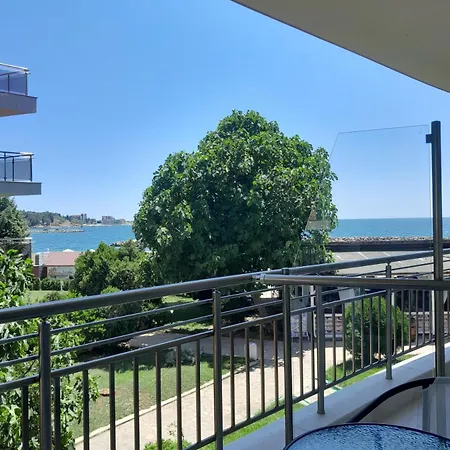 аурелия бей رافدا