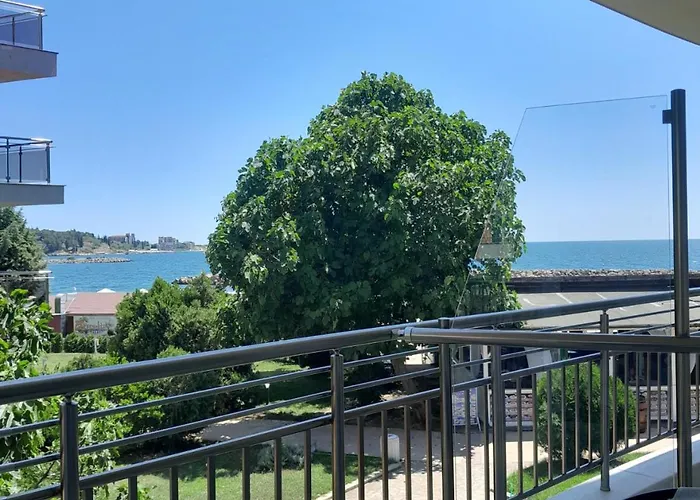 аурелия бей Равда